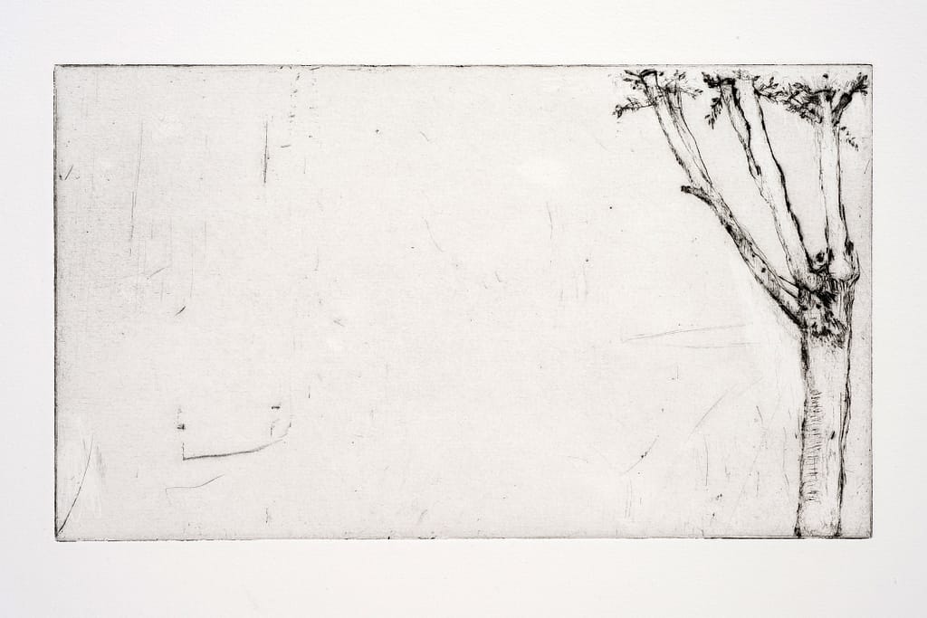 Station X (Stripped), 2010 Drypoint etching 4 1/2 x 7 3/4 in. (10.5 x 19.8 cm.)