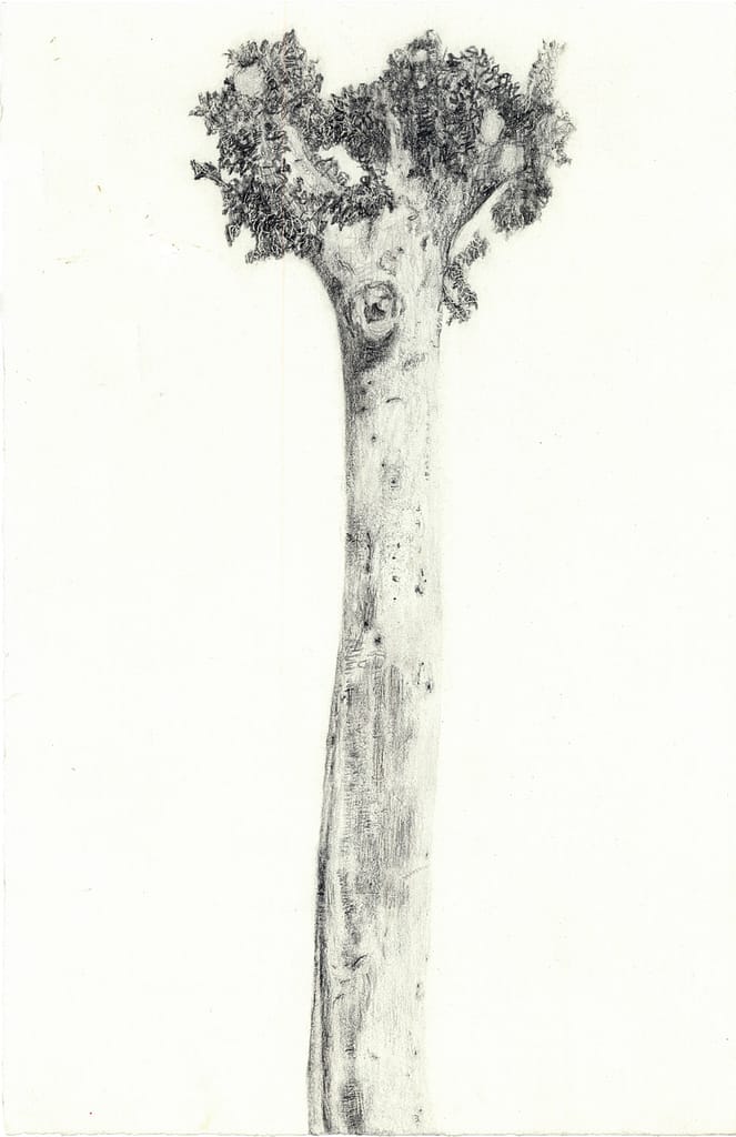 On Western Ave. #1, 2004 Graphite on paper 11 1/2 x 7 1/2 in. (29.2 x 19 cm.)