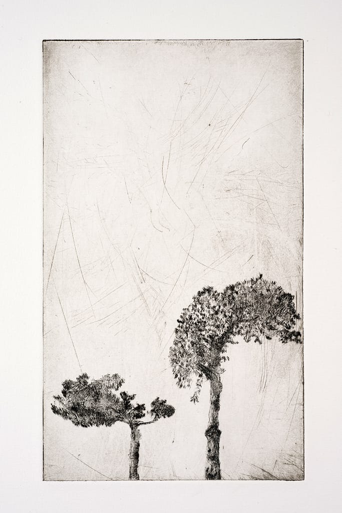 Station IV (Mother), 2010 Drypoint etching and spit bite aquatint 7 3/4 x 4 1/2 in. (19.5 x 10.5 cm.)