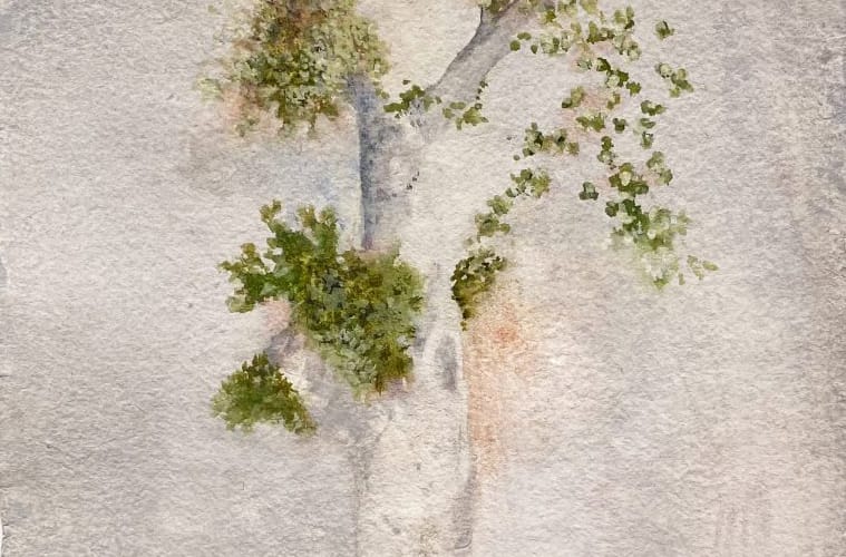 Lucas Reiner Art