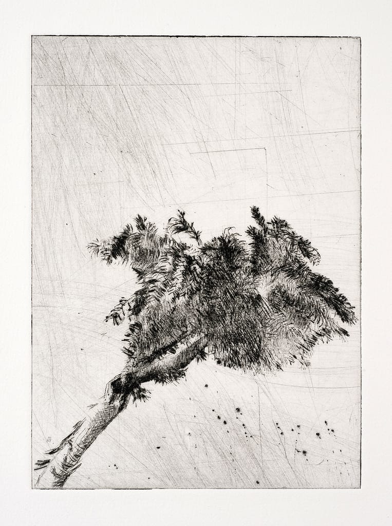 Station IX (Fall #3), 2010 Drypoint etching 5 5/8 x 4 1/8 in. (14.4 x 10.5 cm.)