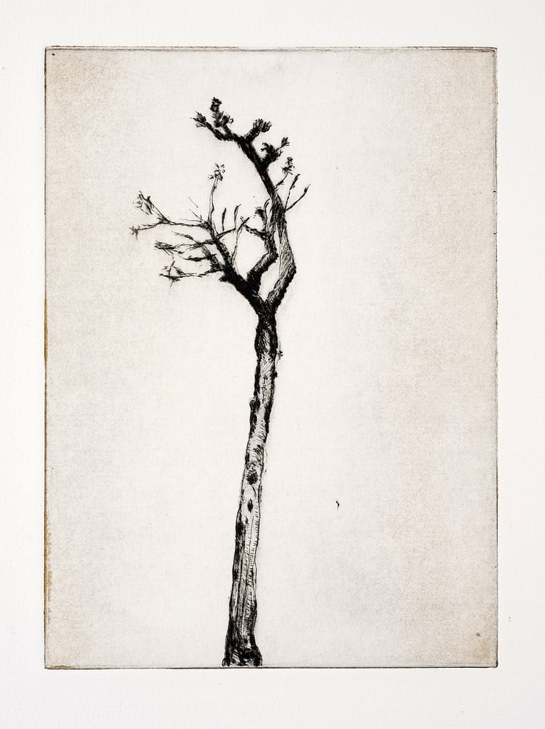 Station XII (Death), 2010 Drypoint etching and spit bite aquatint 5 5/8 x 4 1/8 in. (14.2 x 10.4 cm.)