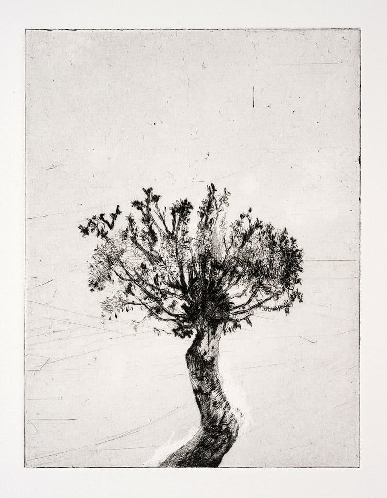 Station III (Fall #1), 2010 Drypoint etching 6 1/2 x 4 3 7/8 in. (16.4 x 12.5 cm.)