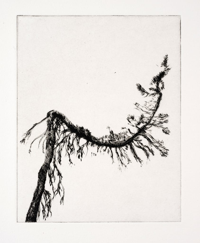 Station XI (Crucifixion) 2010 Drypoint etching 5 5/8 x 4 1/2 in. (14.6 x 11.4 cm.)