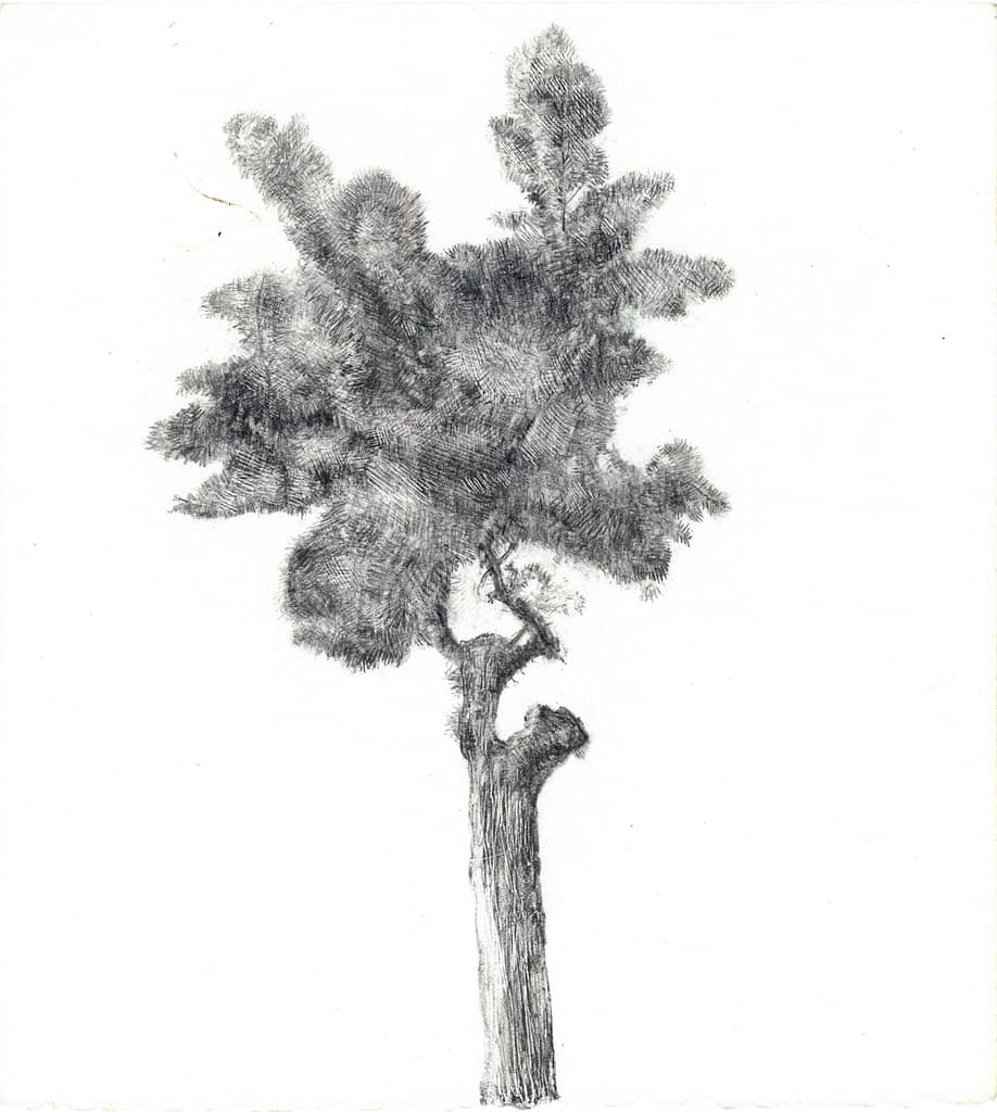 On Venice Blvd., 2004 Graphite on paper 11 x 10 in. (28 x 25.4 cm.)