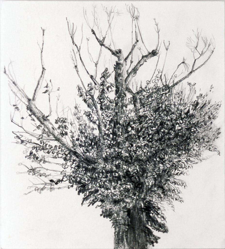 On Hudson St., 2004 Graphite on paper 7 1/2 x 6 3/4 in. (19 x 17 cm.)