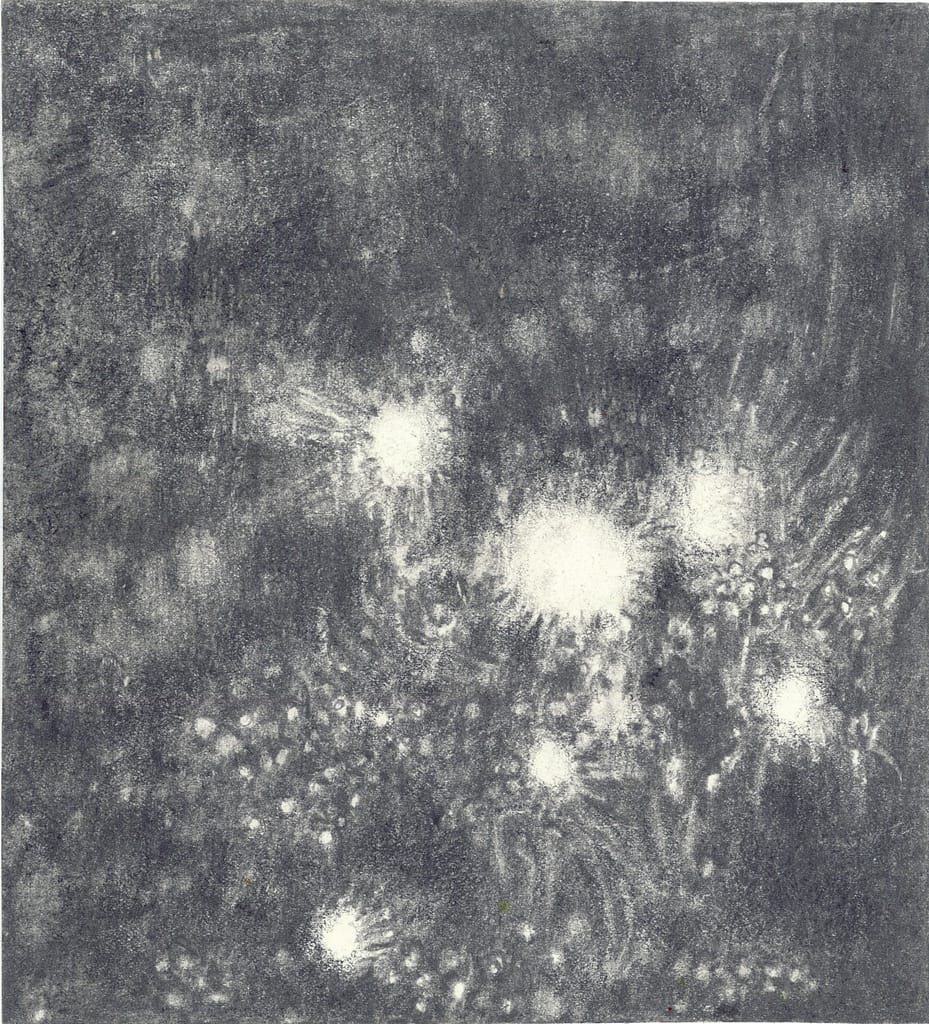 Firework #1, 2005 Graphite on paper 6 1/4 x 5 3/4 in. (16 x 14.5 cm.)