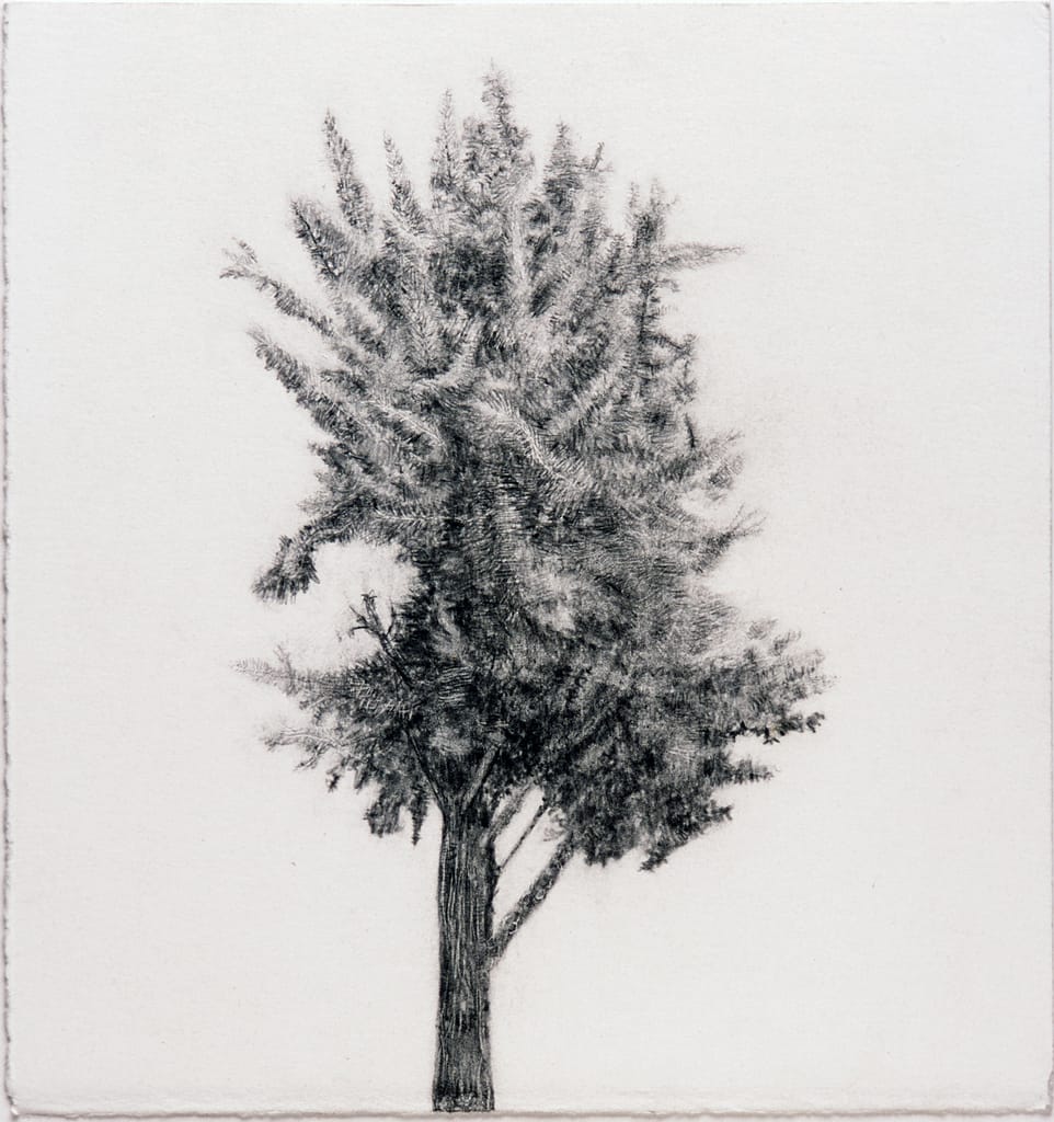 Untitled (Milan), 2004 Graphite on paper 11 1/2 x 10 1/4 in. (29.2 x 26 cm.)